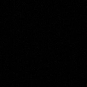 Meet your Posher, Jackson